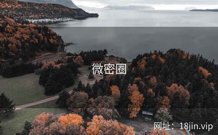 微密圈
