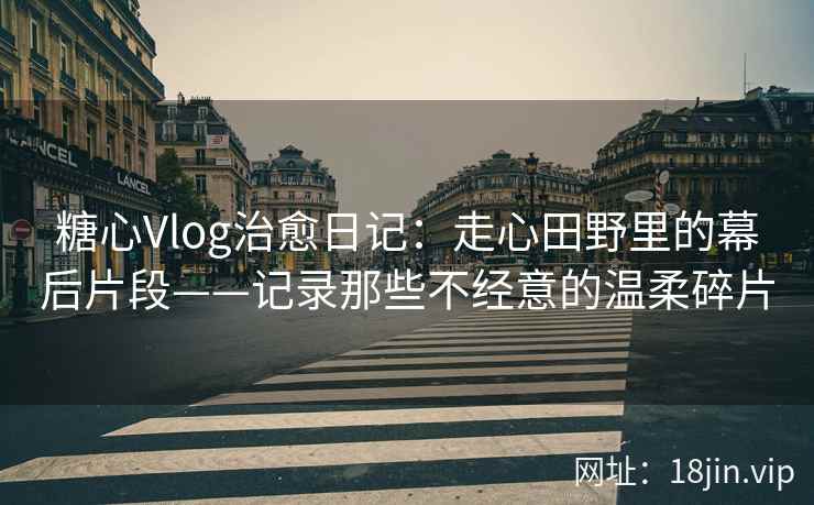 糖心Vlog治愈日记：走心田野里的幕后片段——记录那些不经意的温柔碎片