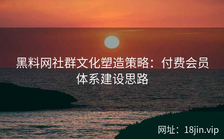黑料网社群文化塑造策略：付费会员体系建设思路