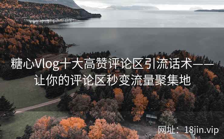 糖心Vlog十大高赞评论区引流话术——让你的评论区秒变流量聚集地