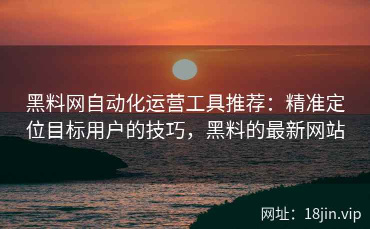 黑料网自动化运营工具推荐：精准定位目标用户的技巧，黑料的最新网站