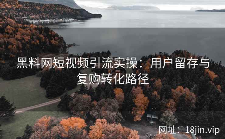 黑料网短视频引流实操：用户留存与复购转化路径
