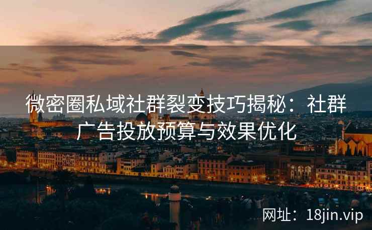 微密圈私域社群裂变技巧揭秘：社群广告投放预算与效果优化