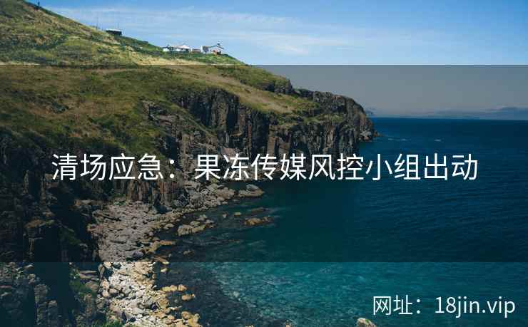 清场应急：果冻传媒风控小组出动