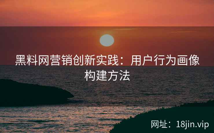 黑料网营销创新实践：用户行为画像构建方法