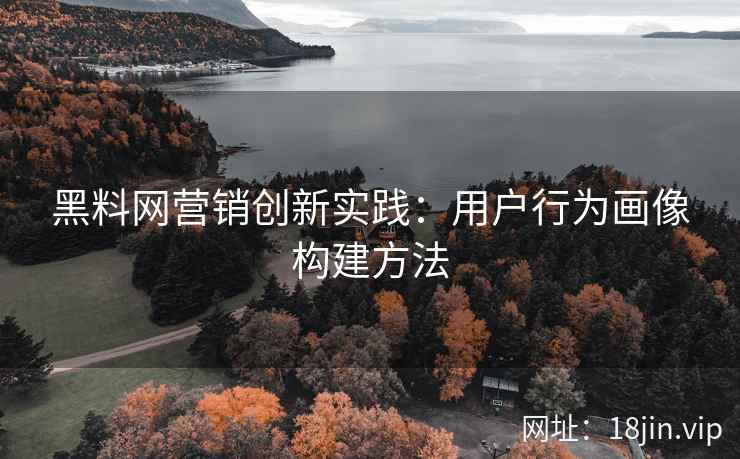 黑料网营销创新实践：用户行为画像构建方法