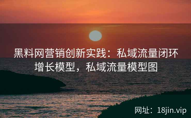 黑料网营销创新实践：私域流量闭环增长模型，私域流量模型图