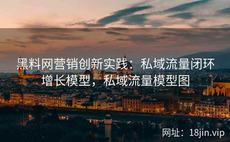 黑料网营销创新实践：私域流量闭环增长模型，私域流量模型图