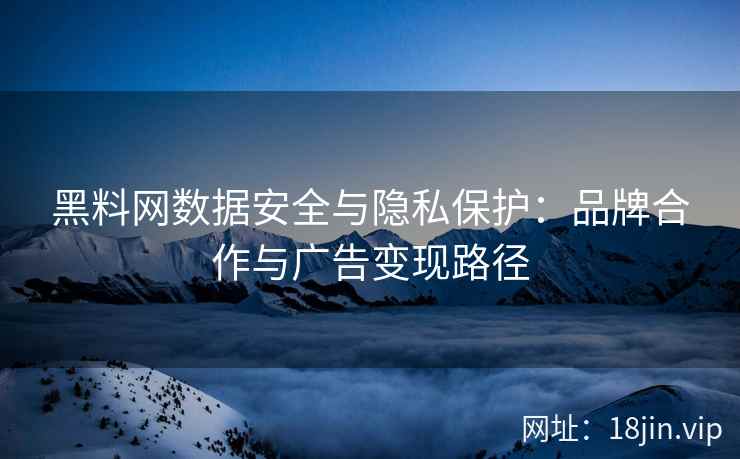 黑料网数据安全与隐私保护：品牌合作与广告变现路径
