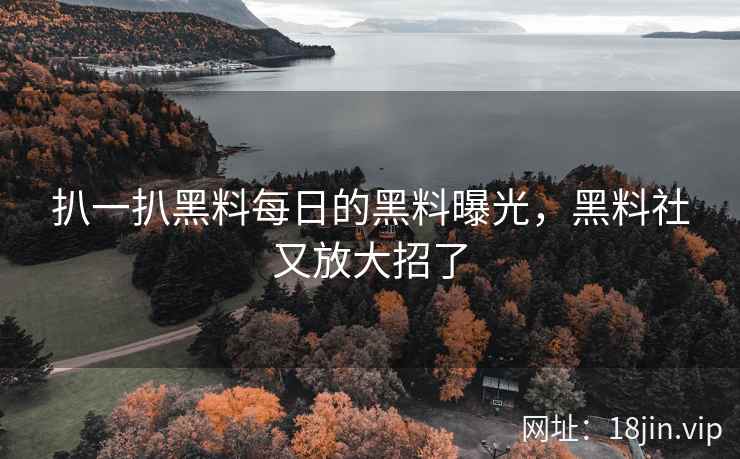 扒一扒黑料每日的黑料曝光，黑料社又放大招了