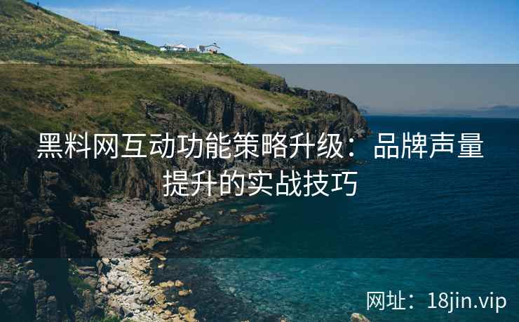 黑料网互动功能策略升级：品牌声量提升的实战技巧