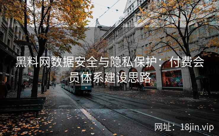 黑料网数据安全与隐私保护：付费会员体系建设思路
