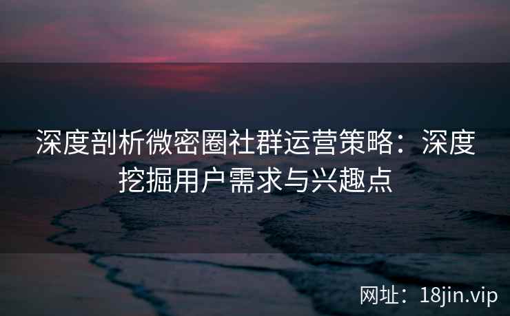 深度剖析微密圈社群运营策略：深度挖掘用户需求与兴趣点