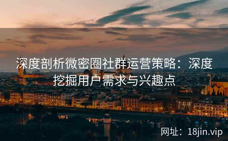 深度剖析微密圈社群运营策略：深度挖掘用户需求与兴趣点